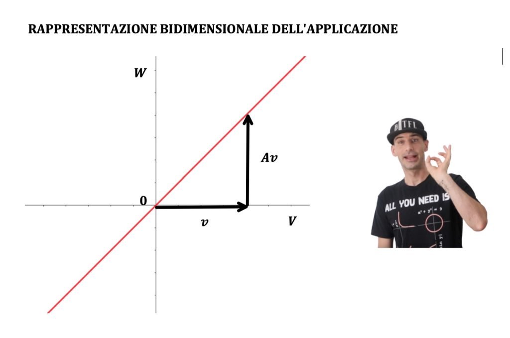 applicazioni lineari grafico bidimensionale