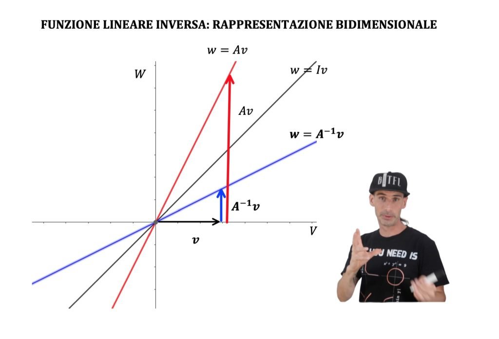 applicazioni lineari funzione inversa grafico