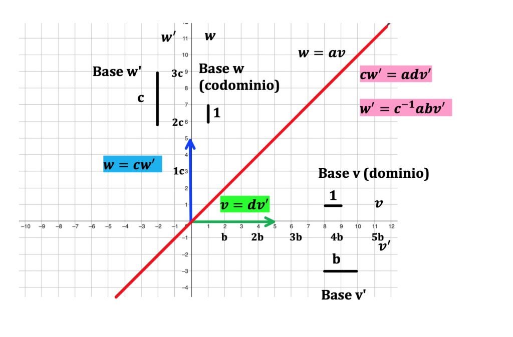 applicazioni lineari cambio di base