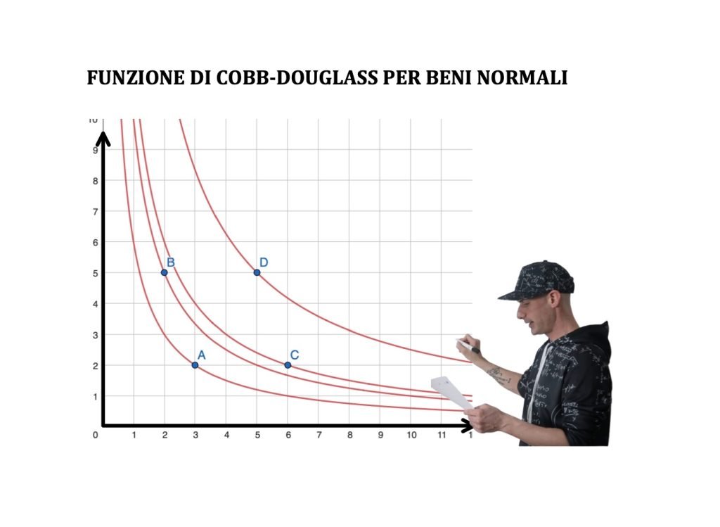 Panieri, consumatore, funzione di utilità e curve di livello, microeconomia