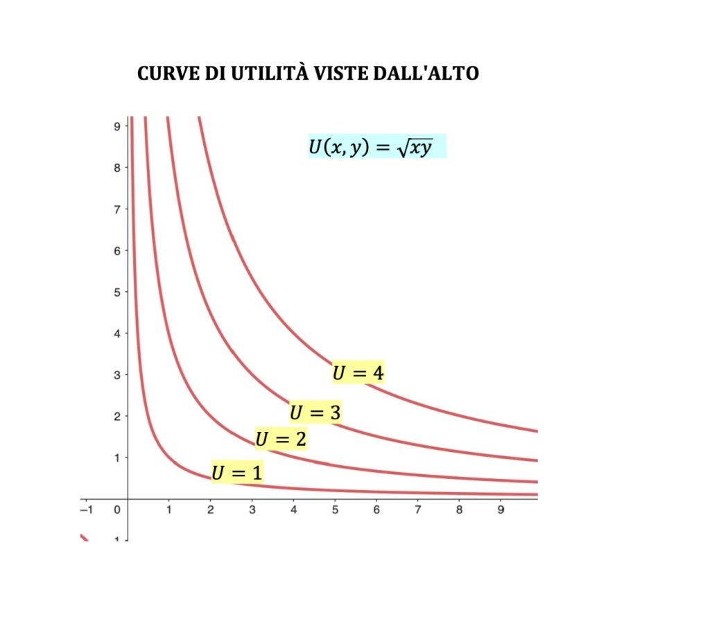 equilibrio del consumatore, microeconomia, funzione di utilità, vincolo di bilancio, teoria del consumatore, curve di livello