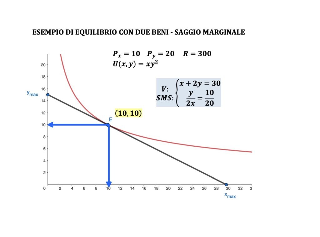 equilibrio del consumatore, microeconomia, funzione di utilità, vincolo di bilancio, teoria del consumatore, curve di livello, saggio marginale di sostituzione