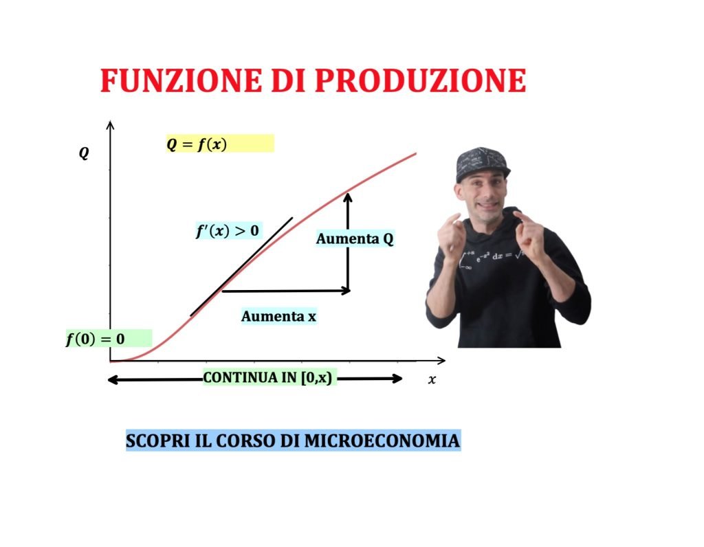 funzione di produzione, teoria dell'impresa, microeconomia