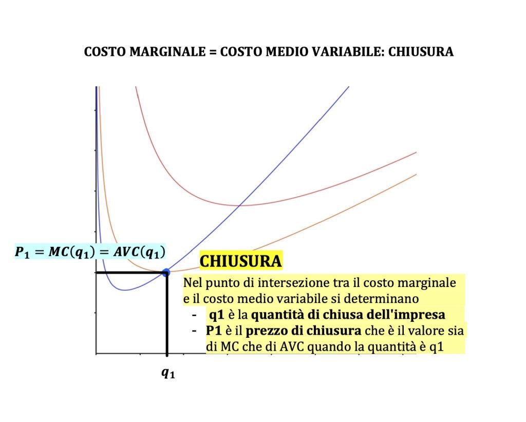 costo medio e costo marginale