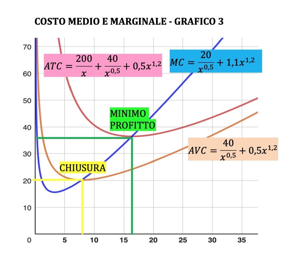 costo medio e costo marginale