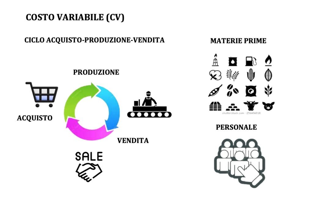 costi, ricavi e profitto, costi variabili