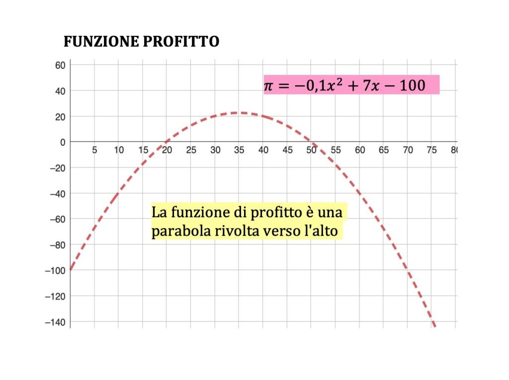 costi, ricavi e profitto, funzione profitto