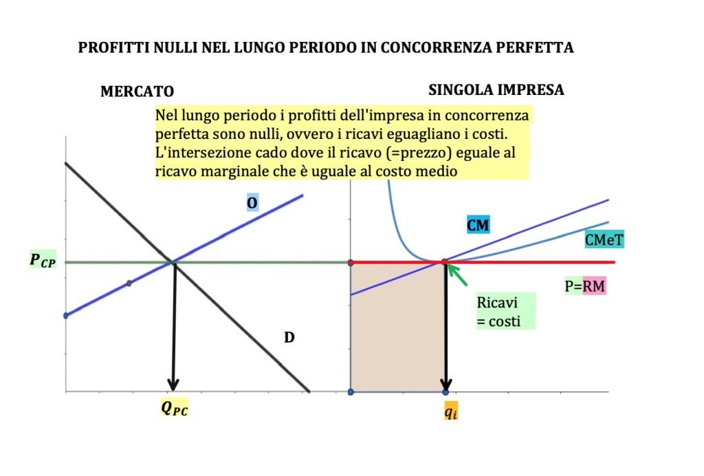monopolio e concorrenza perfetta