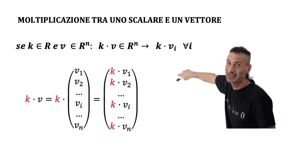 vettori definizione