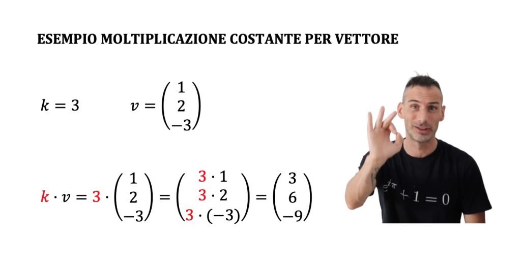 vettori definizione