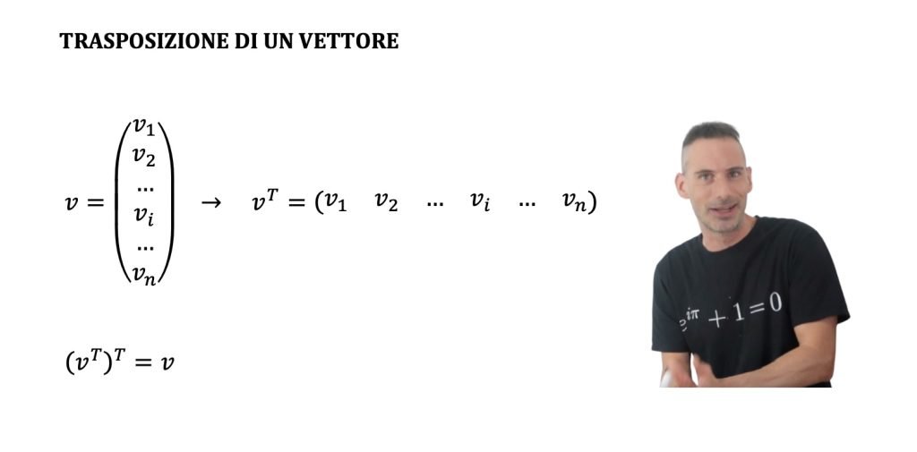 vettori definizione
