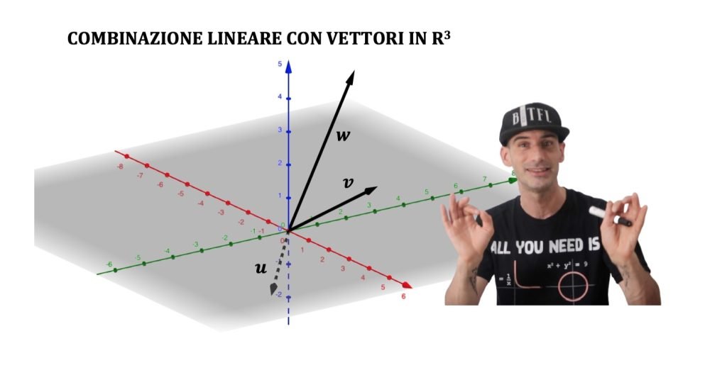 combinazioni lineari di vettori