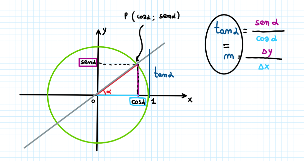 Le funzioni goniometriche: seno, cose no e tangente sulla circonferenza goniometrica